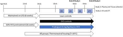 Beneficial Metabolic Effects of Praliciguat, a Soluble Guanylate Cyclase Stimulator, in a Mouse Diet-Induced Obesity Model